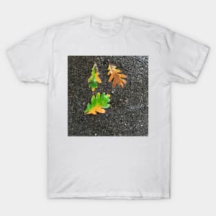 Rainy Leaves on Black Terrazzo Background T-Shirt